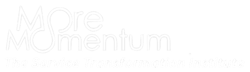 moreMomentum logo - white 500x144