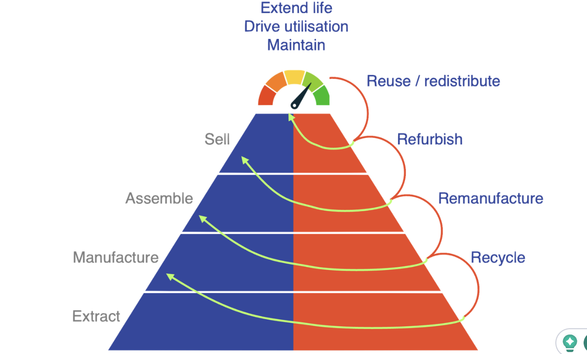 Accelerating the Circular Economy: The Power of Service Innovation