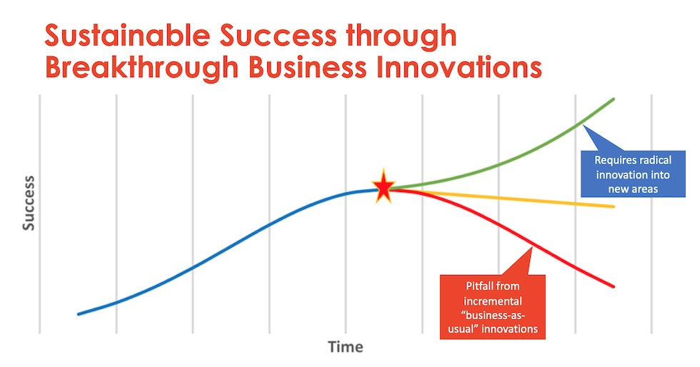 radical-business-innovation-to-thrive